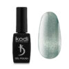 Kodi Cat Shine №09
