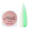 Luxton Miracle Powder №02 Дзеркальна преміальна пудра салатова, 0.3 г