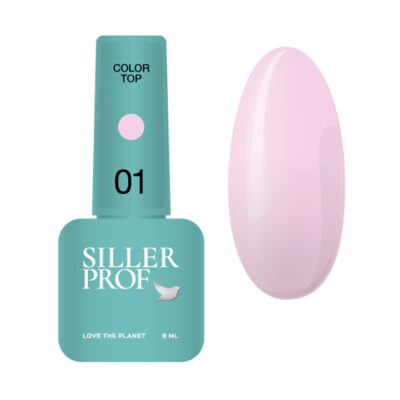 Siller Color Top №01