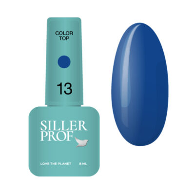 Siller Color Top №13