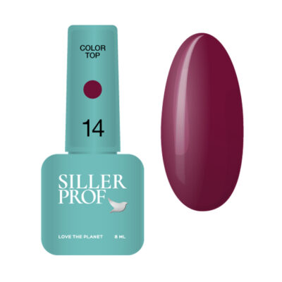 Siller Color Top №14
