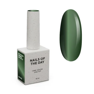 NAILSOFTHEDAY Korean cat eye №17