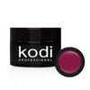 Kodi Gel Paint №16