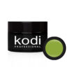Kodi Gel Paint №39