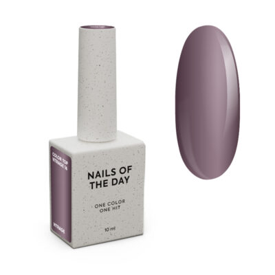 NAILSOFTHEDAY Color Top Vitrage №16