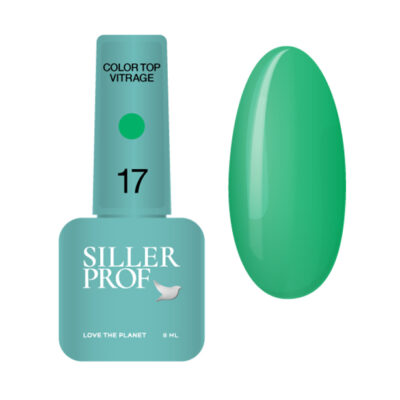 Siller Color Top Vitrage №17