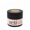 PNB Gel Paint Gold Fusion