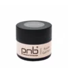 PNB Gel Paint Silver Fusion