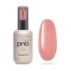 PNB BIAB Gel 4 in 1 №02 Aurora