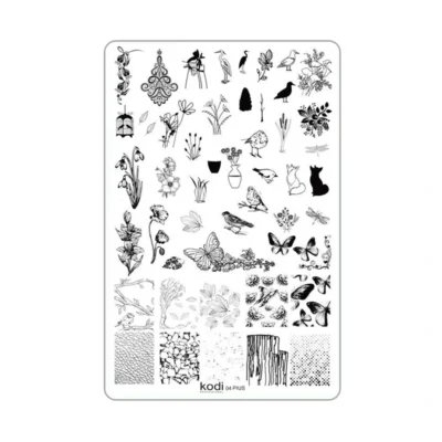 Kodi Stamping Plate Plus Size №04