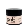 PNB Builder Gel №029 Elegant Mist