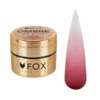 F.O.X Ombre Gel Paint №09
