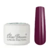 Elise Braun Poly Gel №63